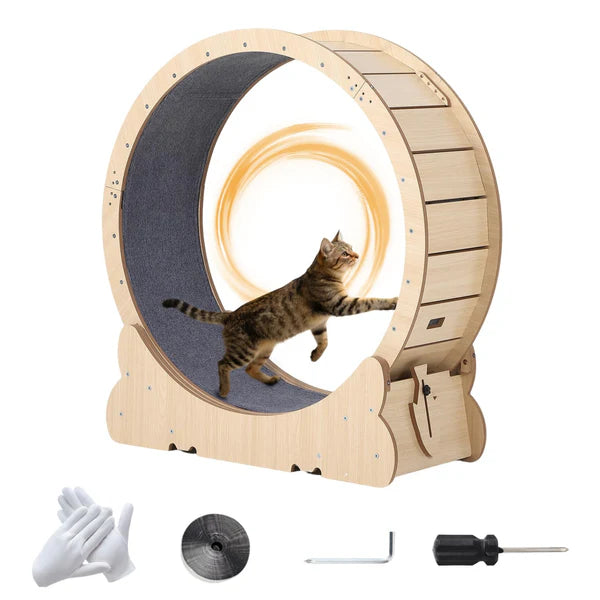 Heavy Duty Cat Exercise Wheel Treadmill