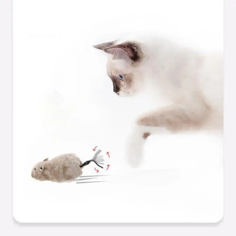 Catnip Mouse